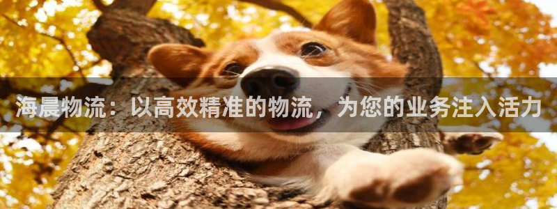 28圈比特28预测在线预测