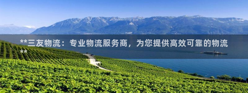 28圈注册教程：**三友物流：专业物