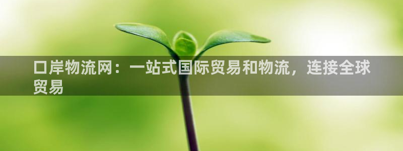 28圈黑款