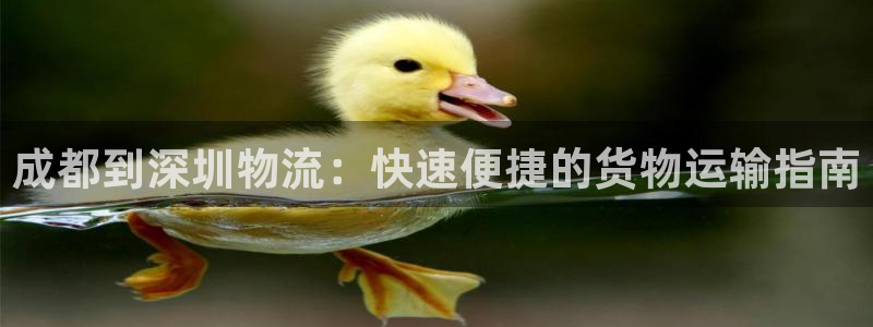 28圈官方网站：成都到深圳物流：快速