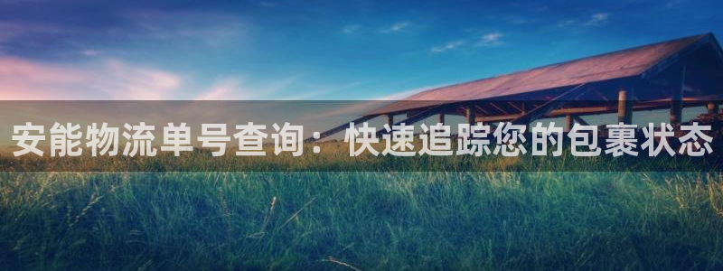 28圈分分28预测：安能物流单号查询