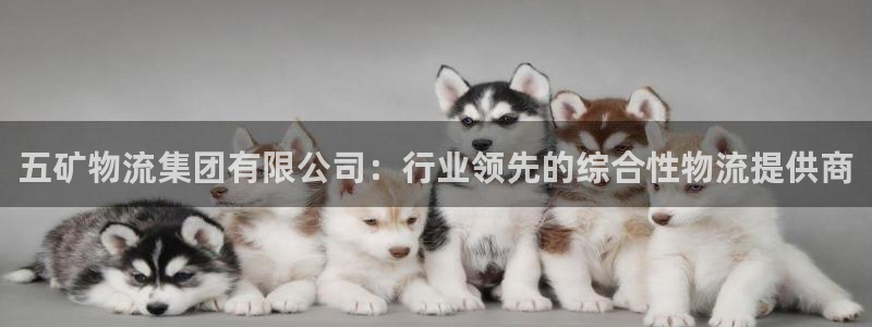 28圈官网版2024：五矿物流集团有