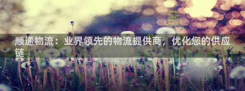 28圈链官网：顺通物流：业界领先的物