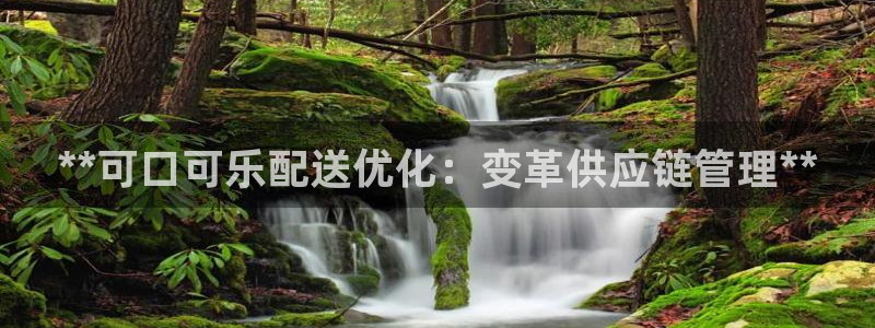 28圈注册步骤