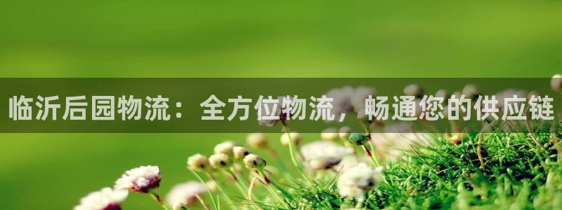 28圈官网平台：临沂后园物流：全方位