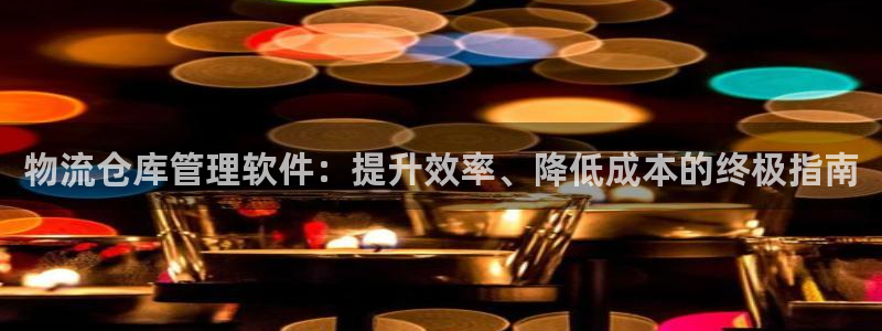 28圈黑款：物流仓库管理软件：提升效