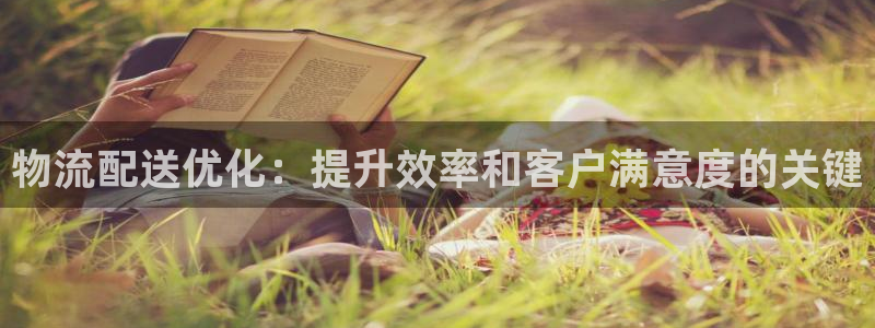 28圈选28ng官网：物流配送优化：