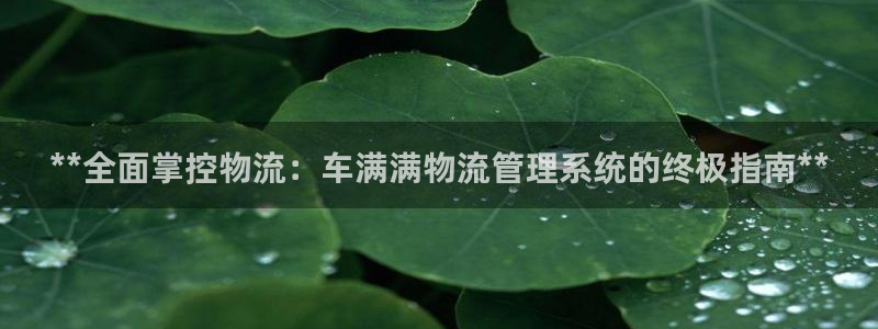 28圈注册网站：**全面掌控物流：车