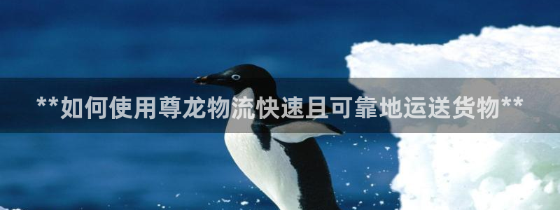 28圈合法吗：**如何使用尊龙物流快
