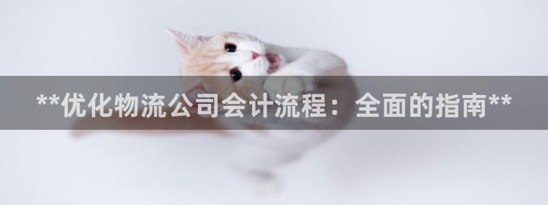 28圈娱乐官网网页下载：**优化物流