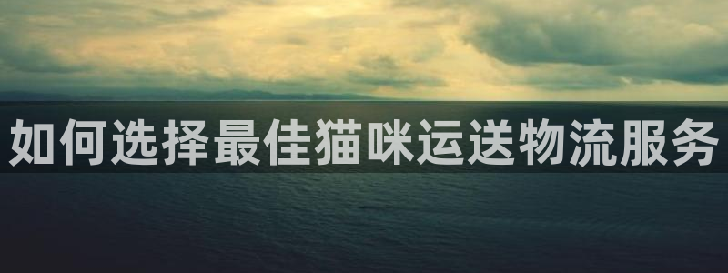 28圈怎么下载：如何选择最佳猫咪运送