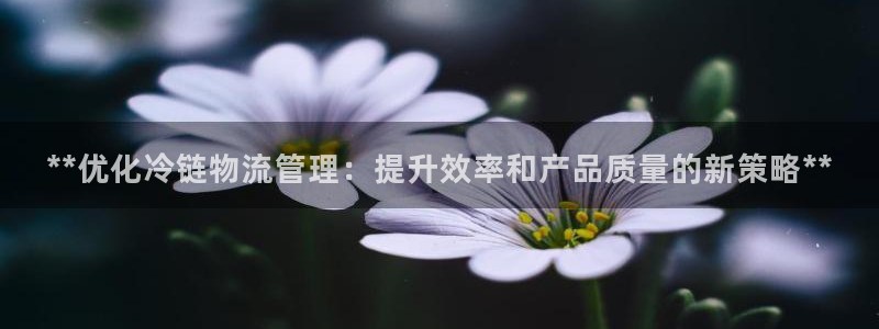 28圈为什么打不开：**优化冷链物流
