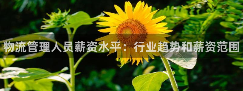 28圈充值为什么充不了：物流管理人员