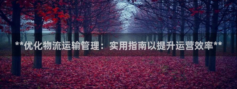 28圈注册网站谁有：**优化物流运输