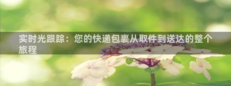 28圈h5链接：实时光跟踪：您的快递