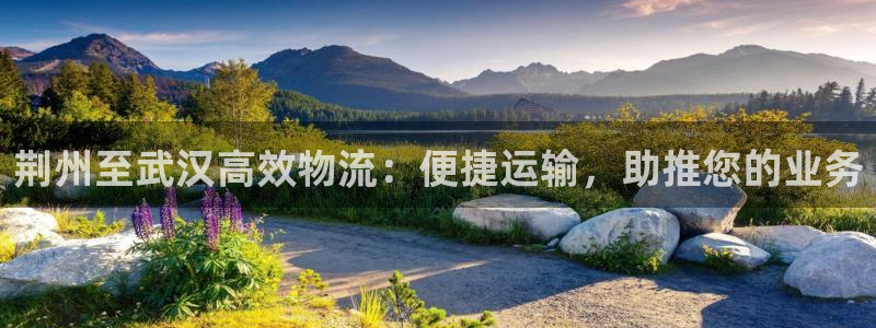 28圈比特28预测在线预测：荆州至武