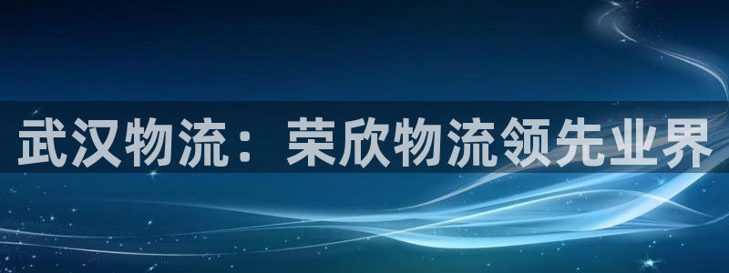 麻将128圈：武汉物流：荣欣物流领先