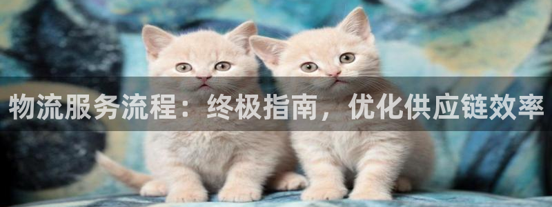 28圈分分28输了能不能退：物流服务