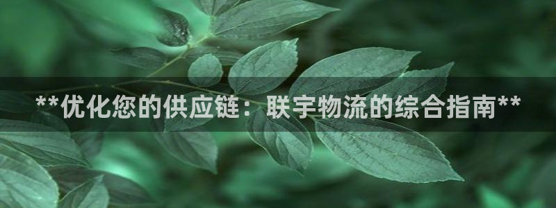 28圈登录网：**优化您的供应链：联