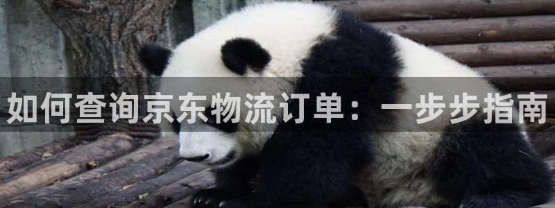 28圈官网平台：如何查询京东物流订单