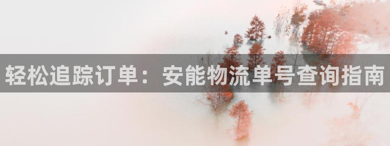 加拿大28圈注册链接：轻松追踪订单：