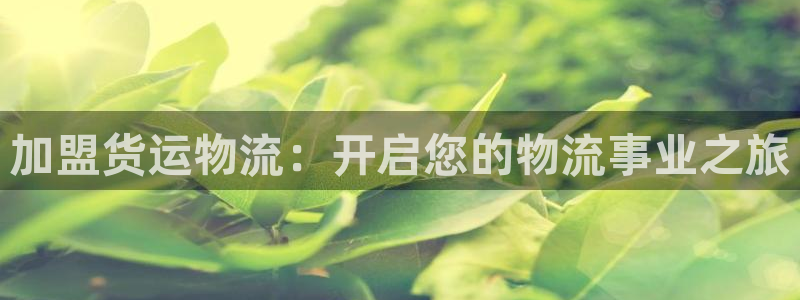28圈充值不处理会怎么样：加盟货运物