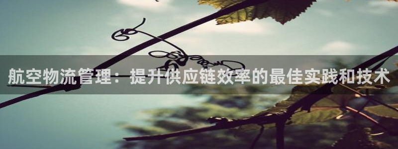 28圈大舞台