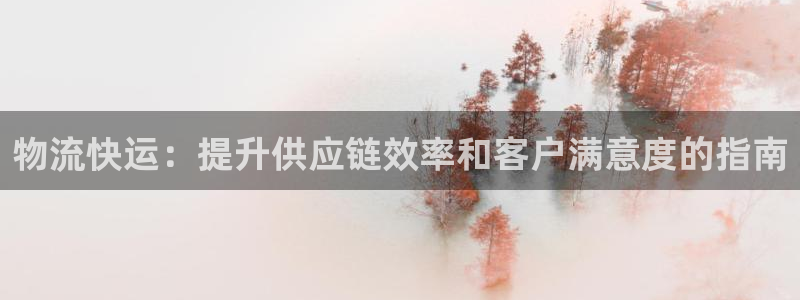 28圈是正规平台吗