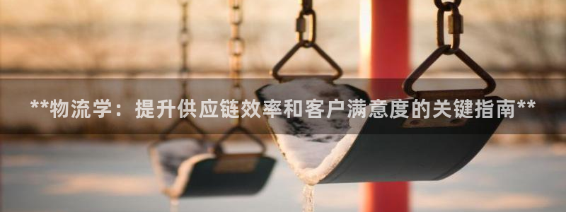 28圈注册网站链接是什么：**物流学
