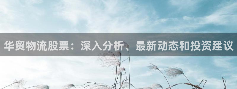 28圈体育下载：华贸物流股票：深入分