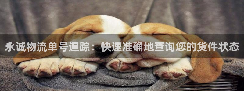 28圈反水：永诚物流单号追踪：快速准