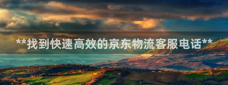 28圈女王中奖记录查询：**找到快速