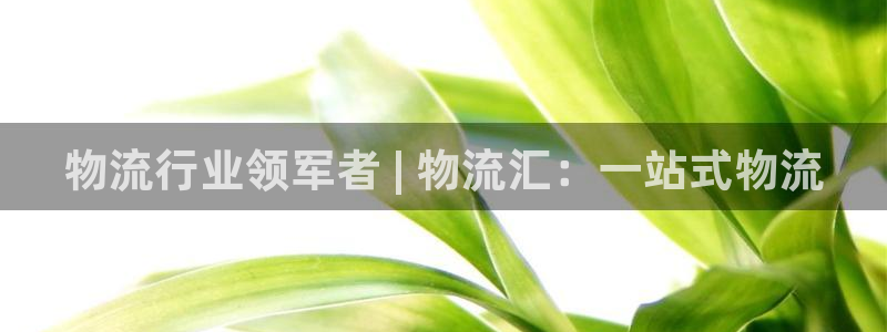 28圈比特28预测在线预测