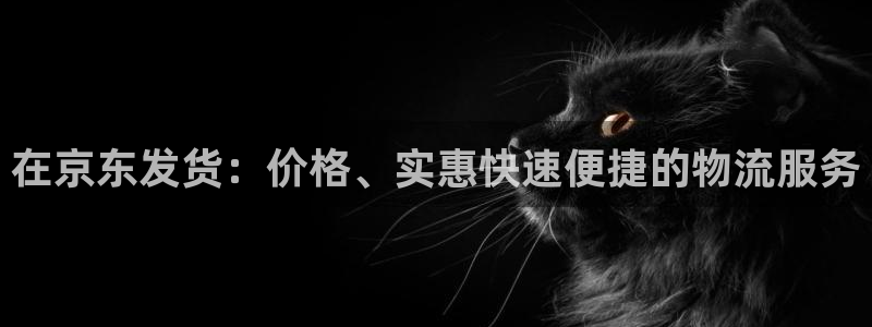28圈怎么下载教程：在京东发货：价格