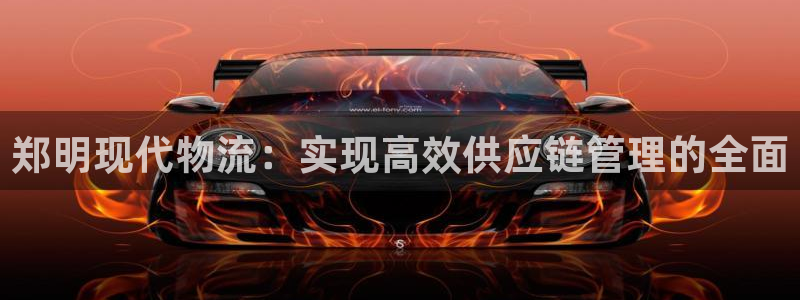 28圈是啥：郑明现代物流：实现高效供