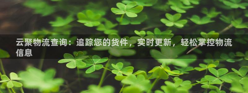 28圈官方网站是多少