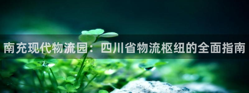 28圈防失联网址