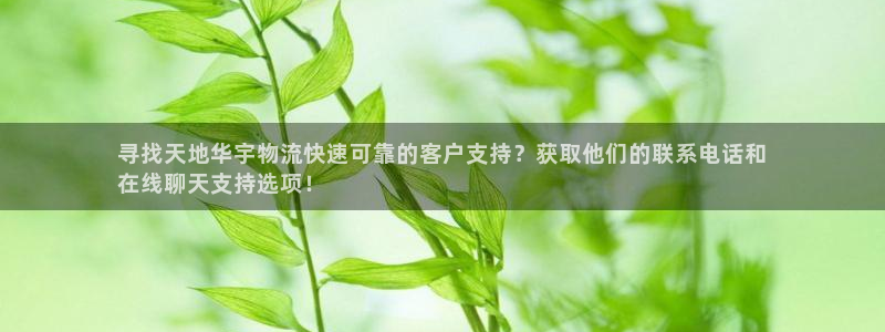28圈如何退款