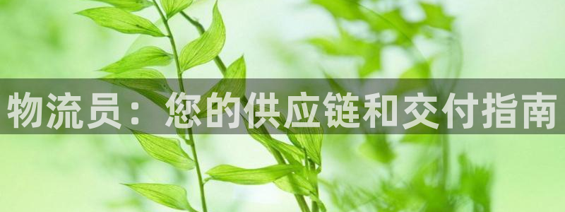 28圈退款教程