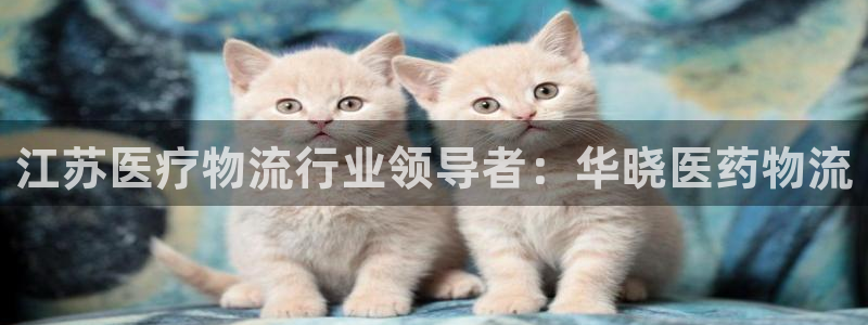 28圈加拿大技巧：江苏医疗物流行业领