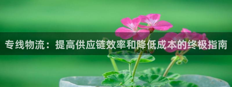 28圈是什么是赌博吗?：专线物流：提