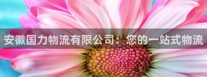 28圈注册网站APP：安徽国力物流有