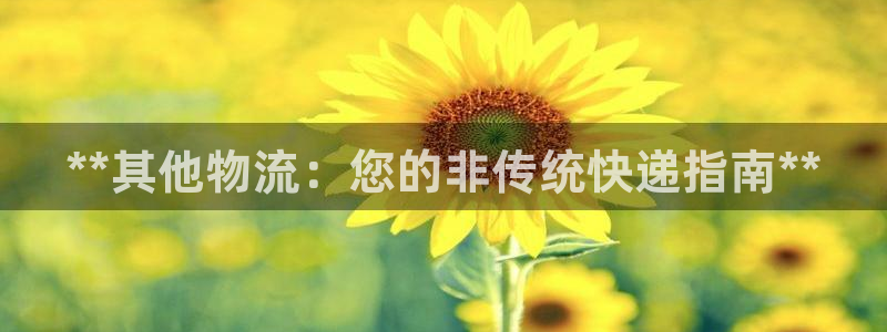 28圈p扣款什么意思：**其他物流：