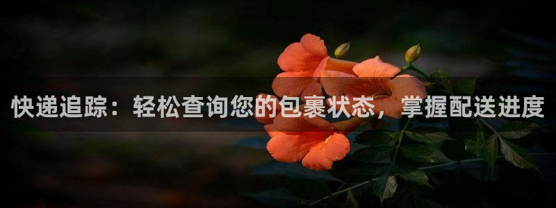 28圈账号注册：快递追踪：轻松查询您