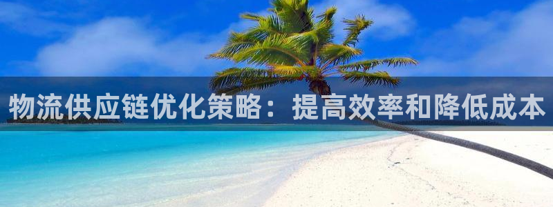 28圈登录用户名登录不上：物流供应链优化策略：提高效率和降低