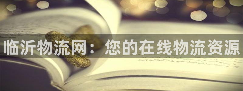 28圈.ccm2024：临沂物流网：