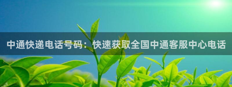 28圈加拿大28：中通快递电话号码：