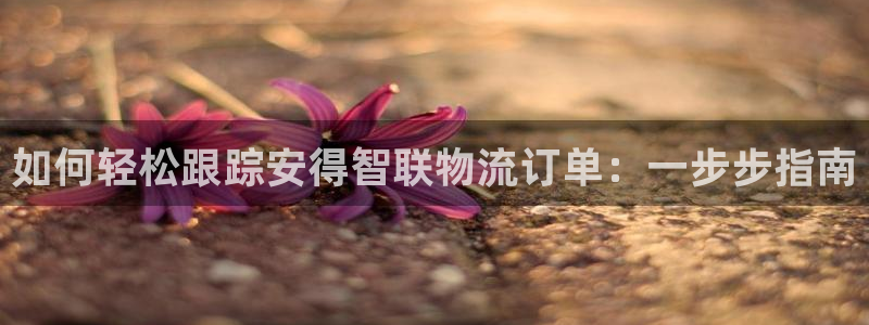 28圈百度百科：如何轻松跟踪安得智联