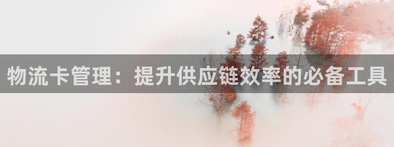 28圈加拿大28：物流卡管理：提升供