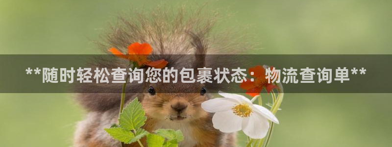 28圈是正规软件吗：**随时轻松查询